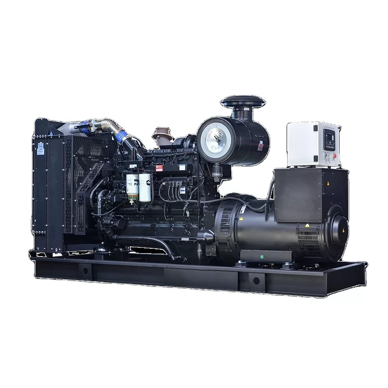 Prime Power Diesel Generator